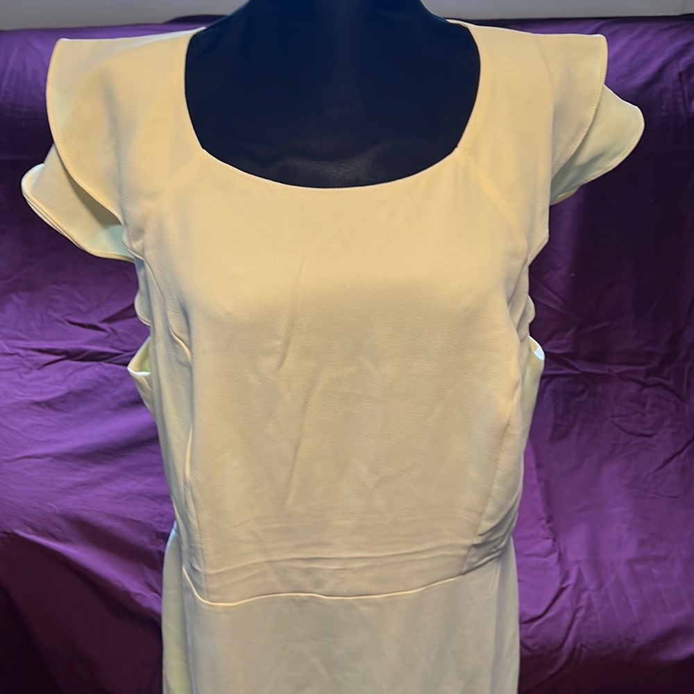 NWT Banana Republic dress size 16